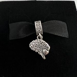 Brain Neurology Psychology S925 Sterling Silver, Pandora Compatible Charm